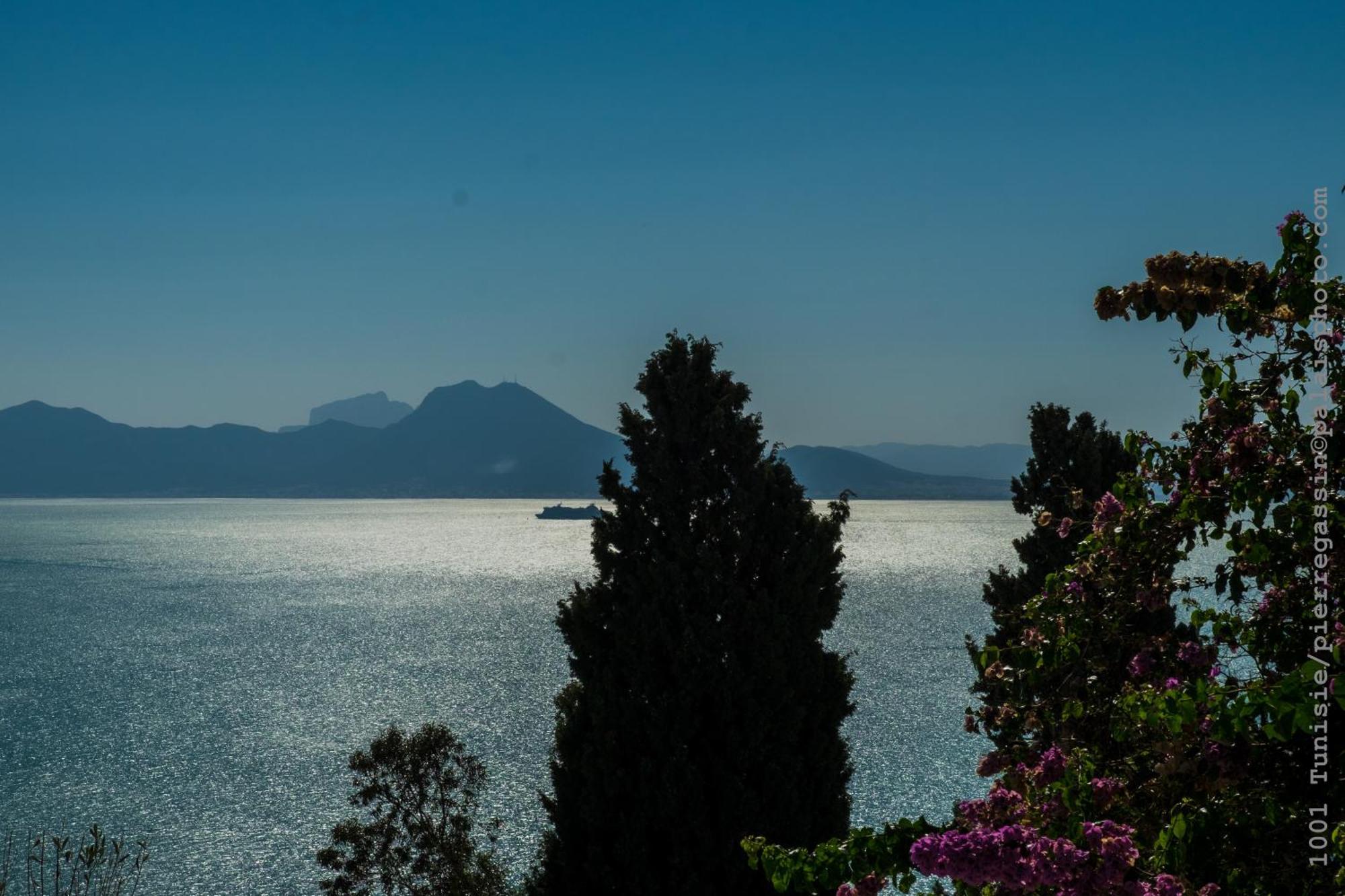 Hotel Dar Said Sidi Bou Ali Exterior foto